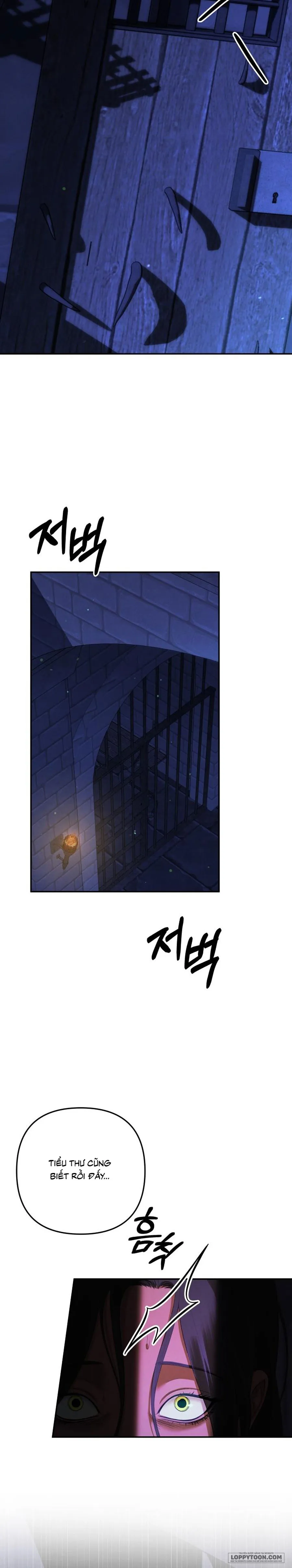 Cuộc Hôn Nhân Bị Cướp Đoạt Chap 33 - trang 25