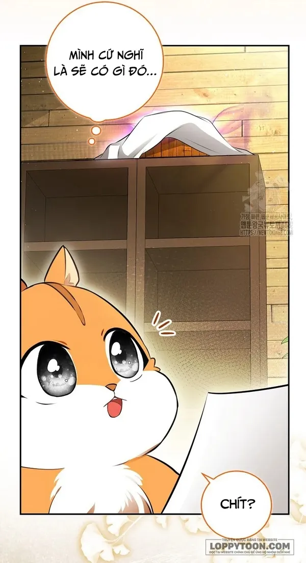 Sóc Con Tài Năng Chap 104 - trang 36