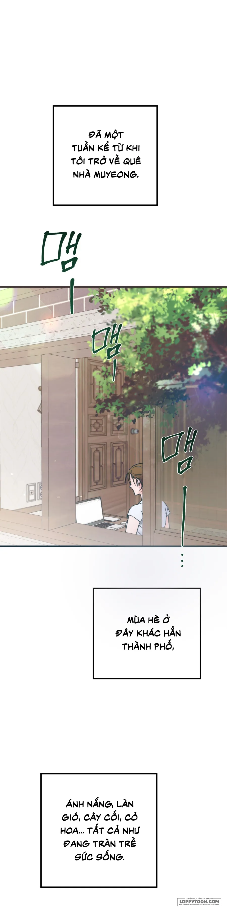 [KHÔNG CHE] Khúc Hát Giữa Mùa Hè Chap 2 - trang 1