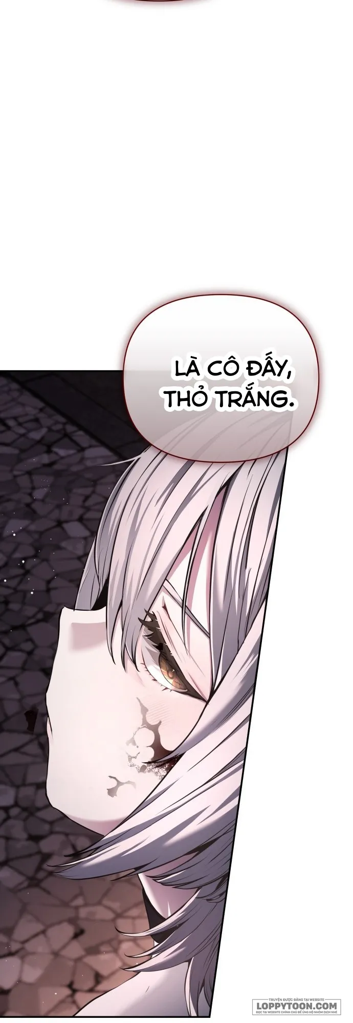 Thỏ Trắng Ở Xứ Sở Thần Tiên Chap 2 - trang 7