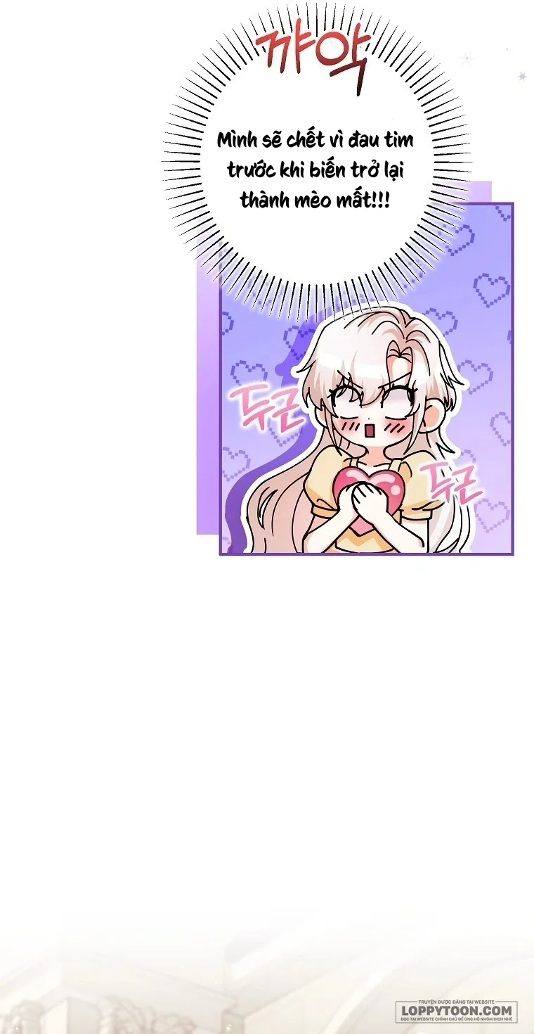 Trở Thành Miêu Nữ Của Hoàng Đế Chap 38 - trang 13
