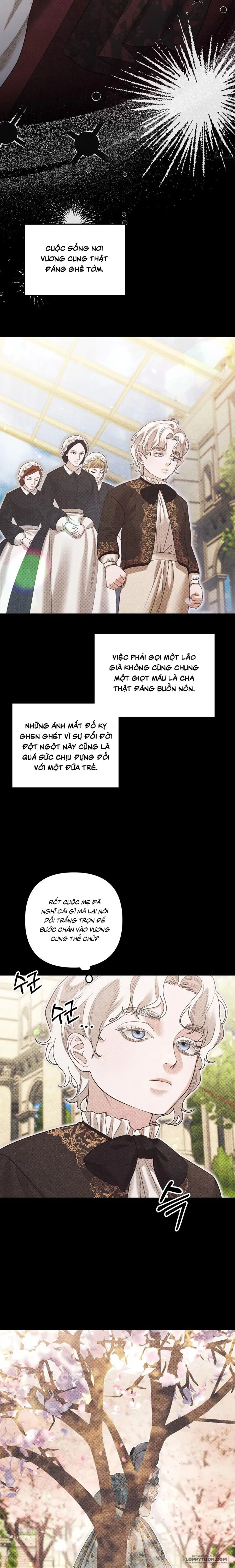 Cuộc Hôn Nhân Bị Cướp Đoạt Chap 82 - trang 21
