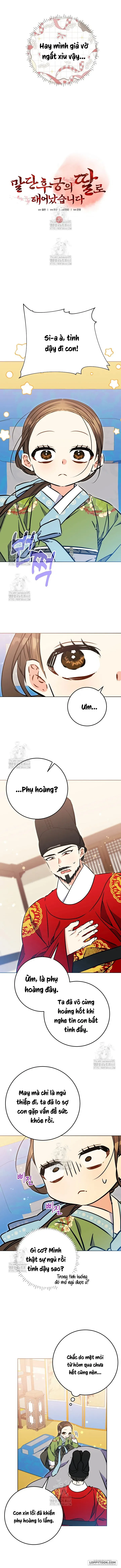 Tôi Sinh Ra Là Con Gái Của Một Cung Phi Hèn Mọn Chap 46 - trang 5