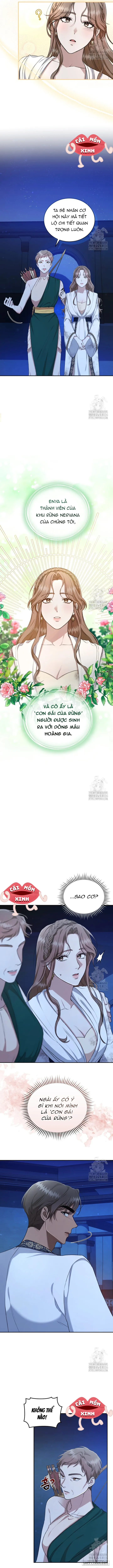 Khu Rừng Hoang Dã Chap 20 - trang 8