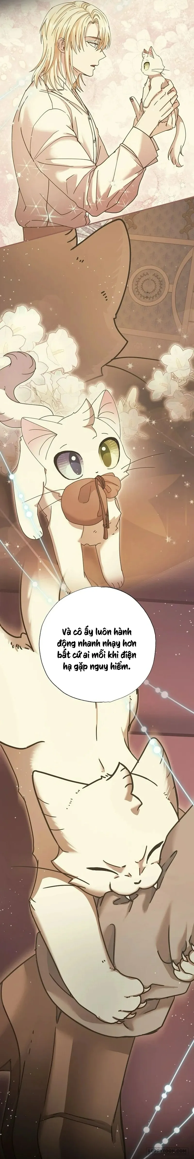 Trở Thành Miêu Nữ Của Hoàng Đế Chap 35 - trang 35