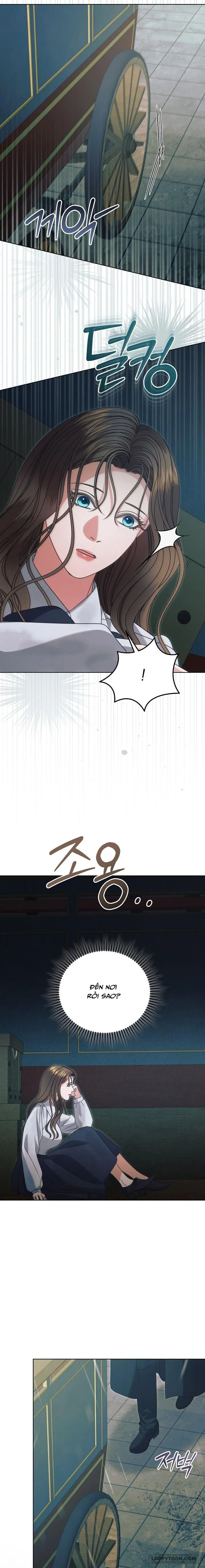 Hãy Cầu Xin Tôi Đi Chap 50 - trang 14