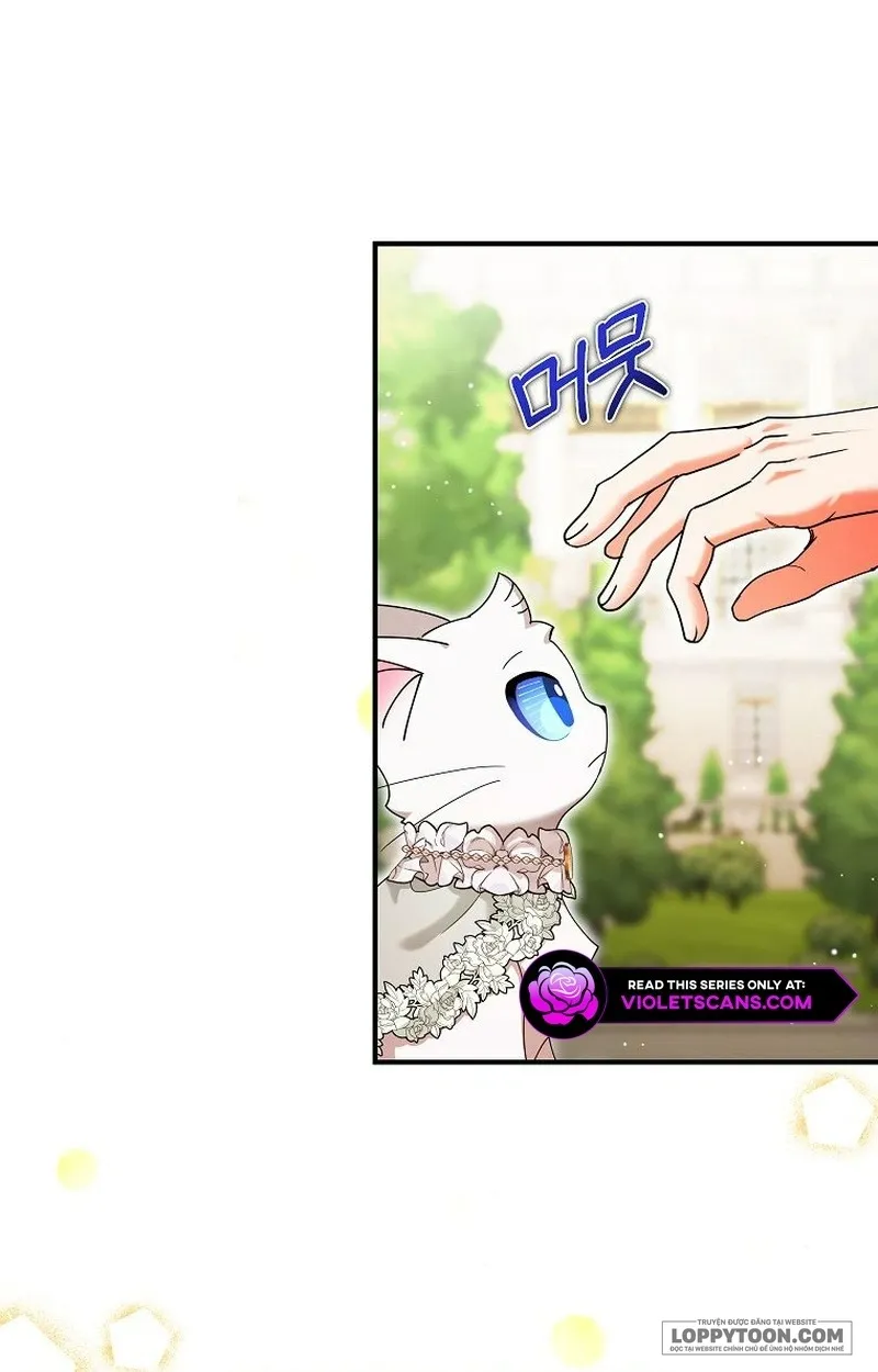 Trở Thành Miêu Nữ Của Hoàng Đế Chap 32 - trang 8