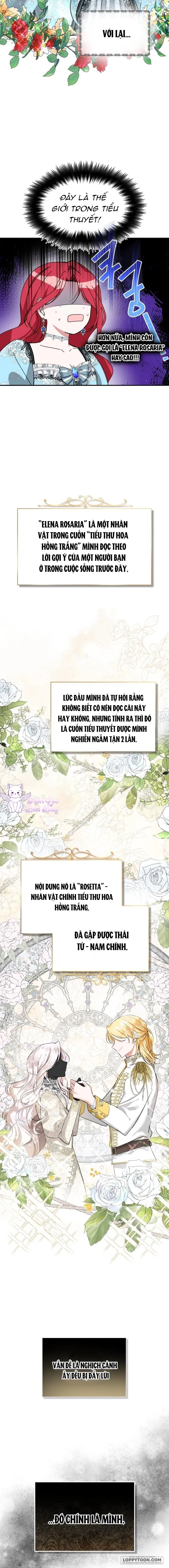 Tôi Sẽ Sống Thử Cuộc Đời Của Ác Nữ Chap 1 - trang 12