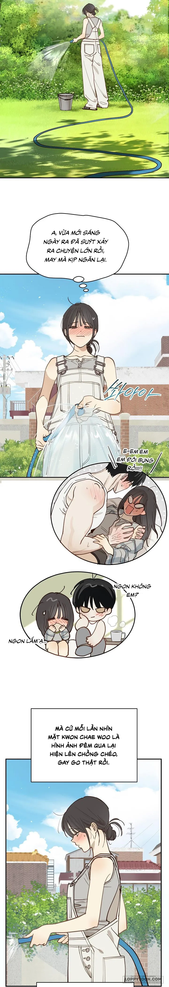 Đóa Hoa Là Mồi Nhử Chap 52 - trang 24