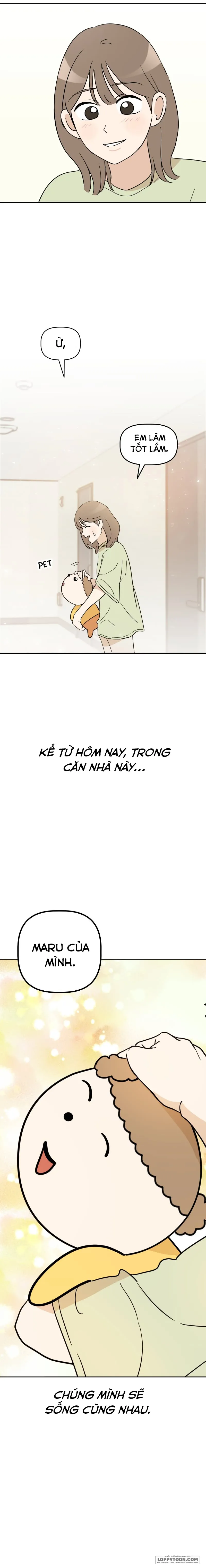 Maru là cún cưng của tôi Chap 1 - trang 27