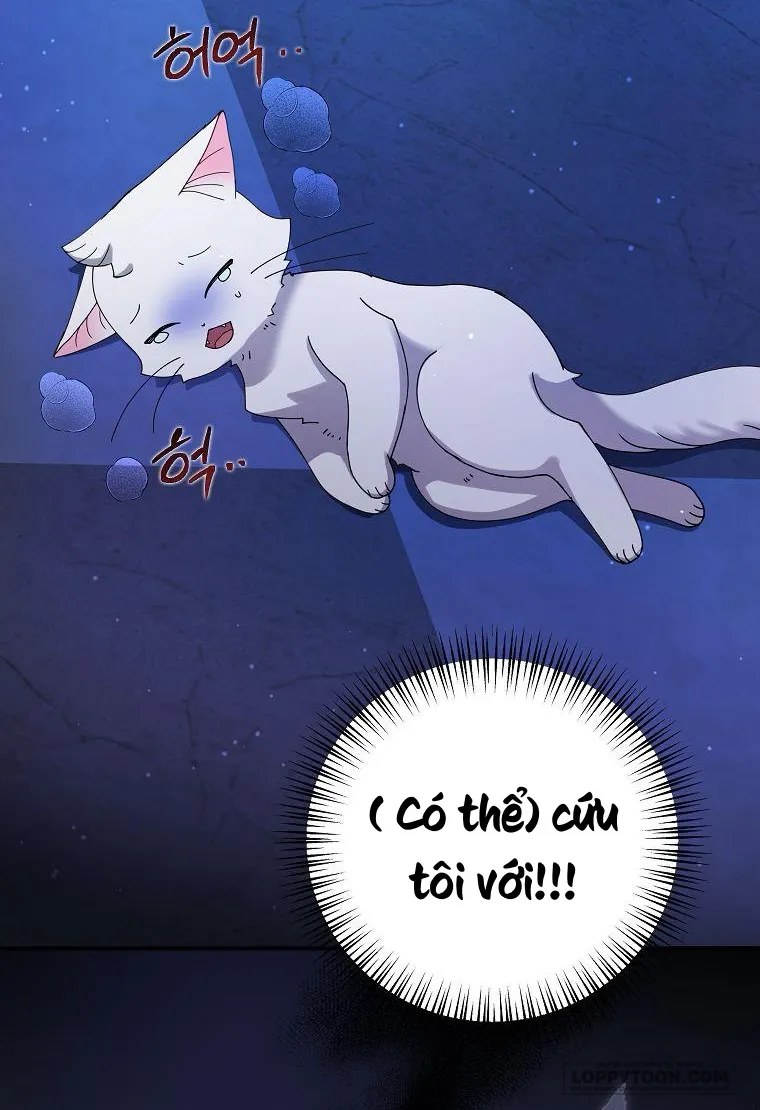Trở Thành Miêu Nữ Của Hoàng Đế Chap 4 - trang 29
