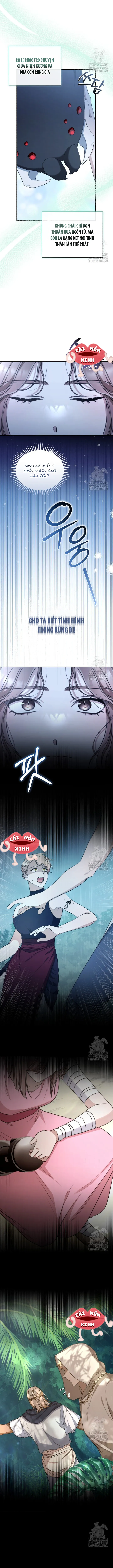 Khu Rừng Hoang Dã Chap 49 - trang 5