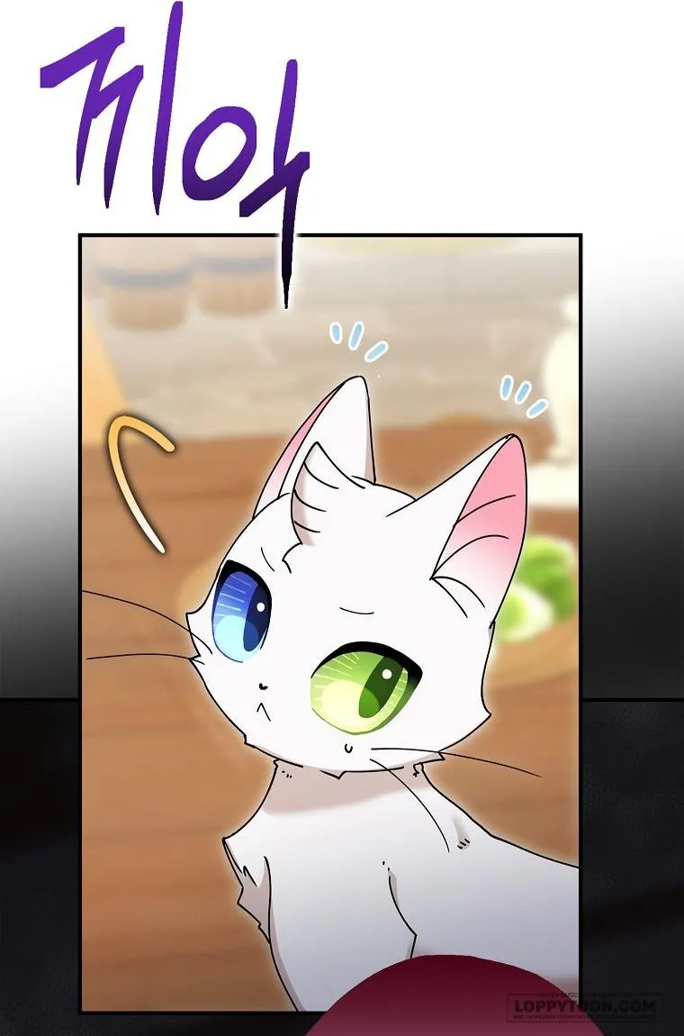 Trở Thành Miêu Nữ Của Hoàng Đế Chap 8 - trang 51