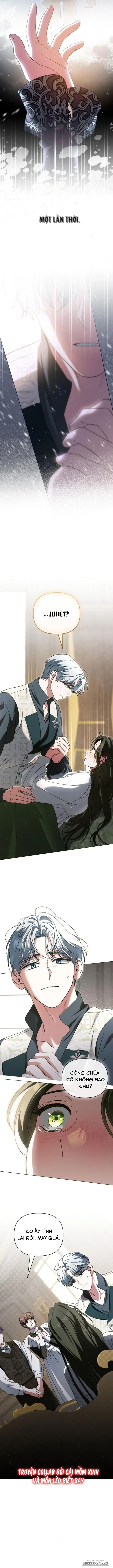 Dành Cho Nàng Juliet Xinh Đẹp Chap 16 - trang 12