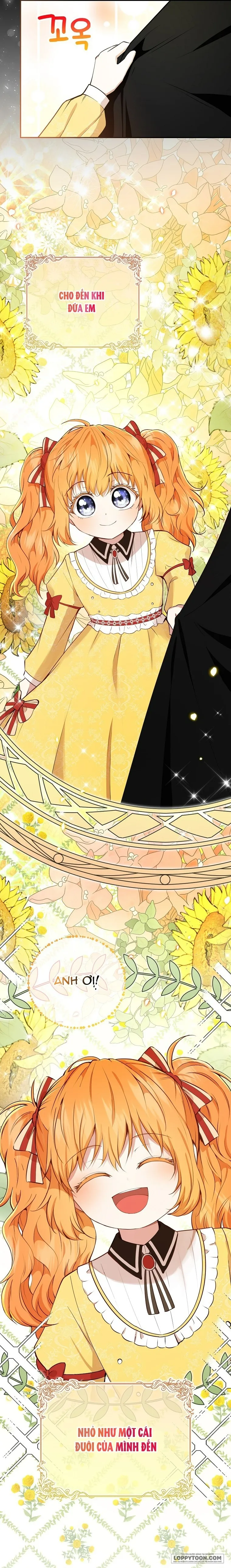 Sóc Con Tài Năng Chap 29 - trang 8