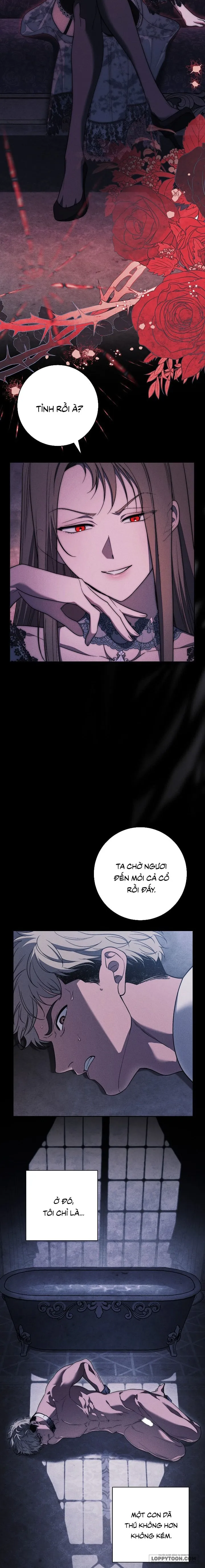 Mộ Thiên Nga Chap 36 - trang 4