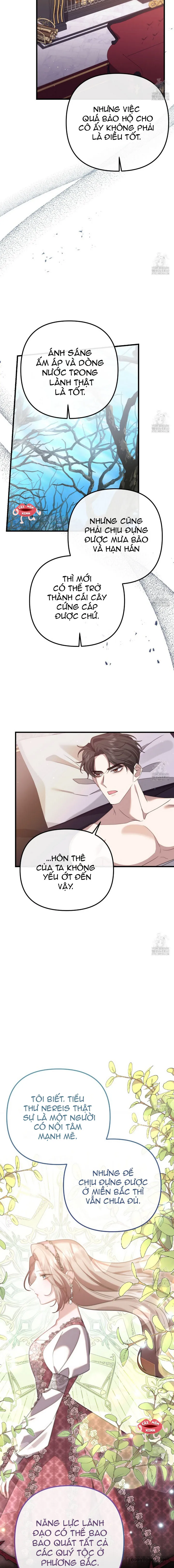 Sau Khi Trùng Sinh Chị Gái Muốn Cướp Lấy Vị Hôn Phu Của Tôi Chap 12 - trang 11