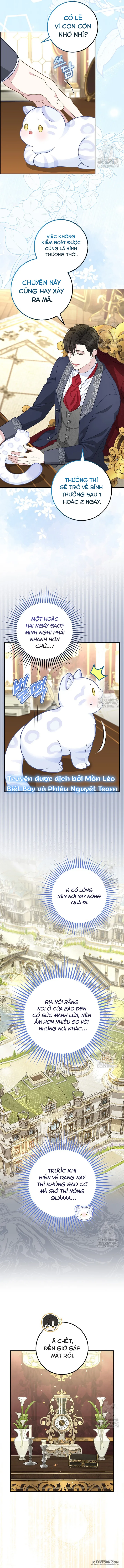 Tiểu Thư Báo Tuyết Của Gia Tộc Báo Đen Chap 21 - trang 8