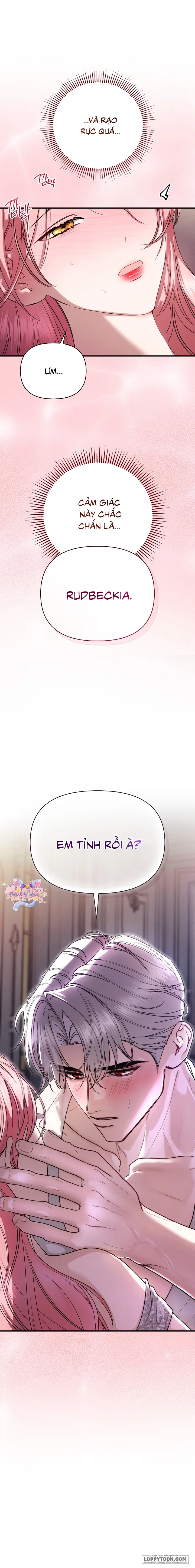 Em Đã Ăn Thay Chồng Rồi Chap 13 - 🔞 - trang 26