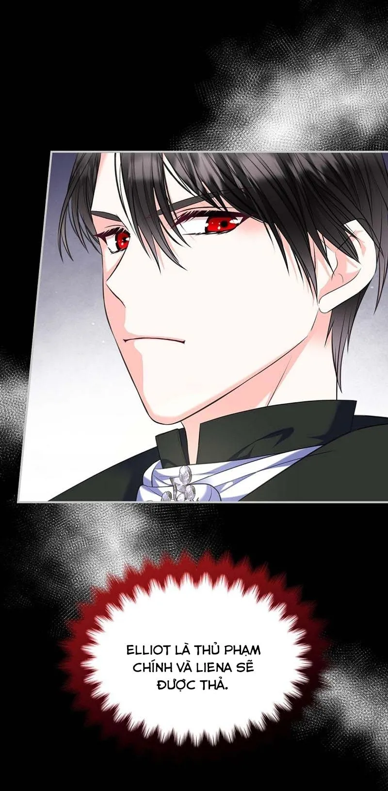 Tôi Sẽ Ly Hôn Với Anh Trai Nữ Chính Chap 62 - trang 8