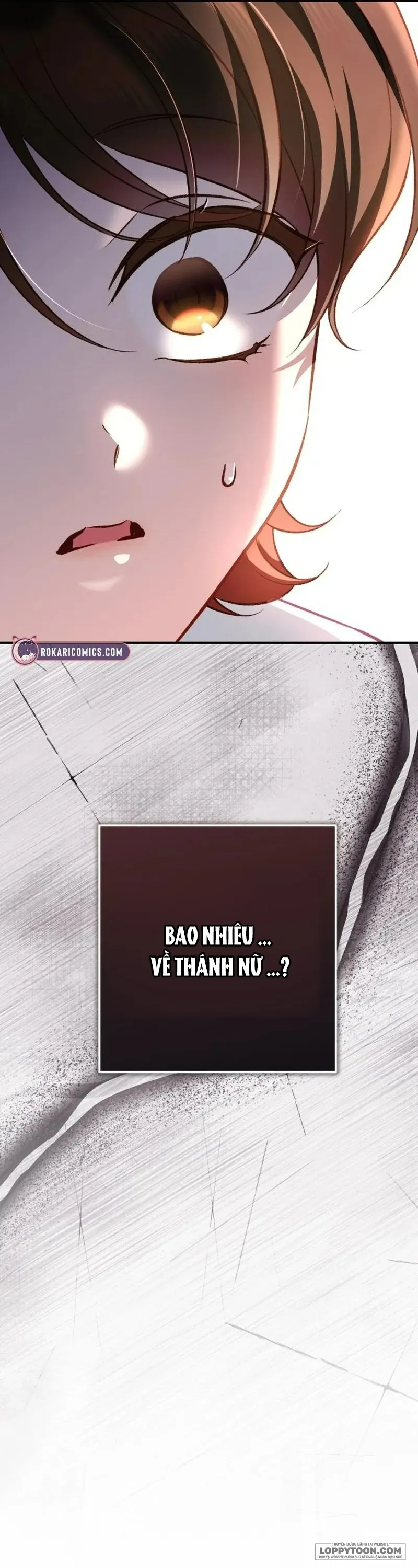 Bảo Vệ Thánh Nữ Giả Mạo Chap 17 - trang 3