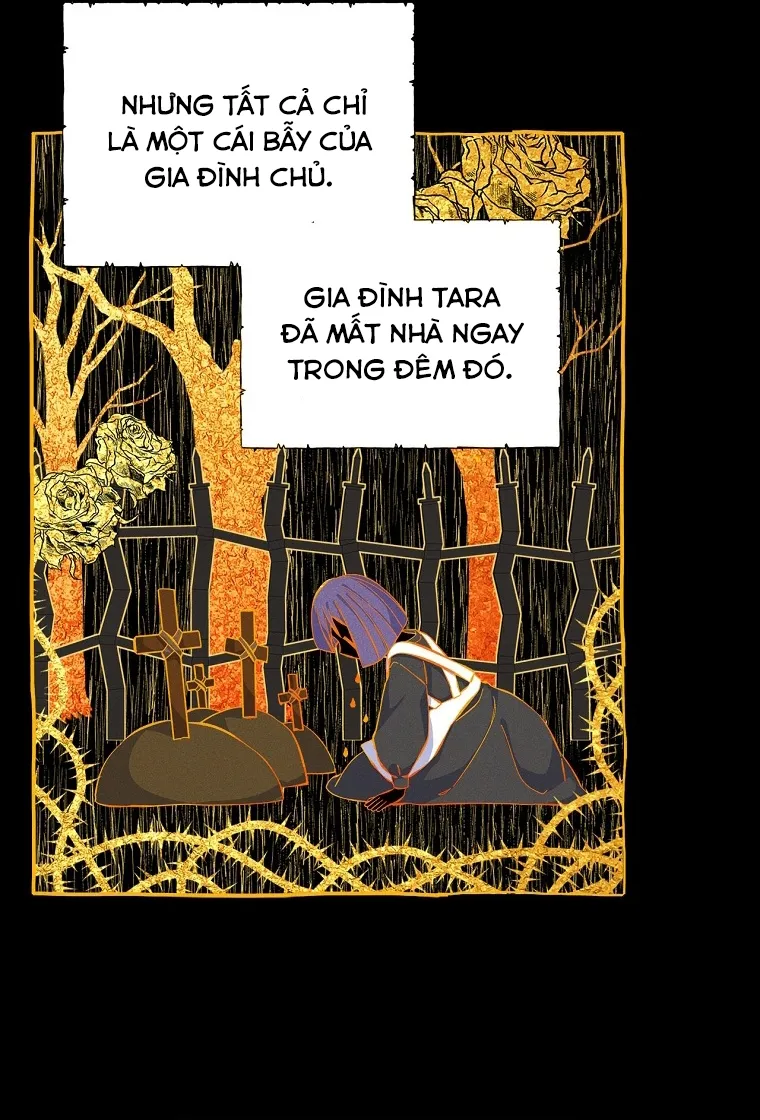 Tôi Sẽ Ly Hôn Với Anh Trai Nữ Chính Chap 7 - trang 43