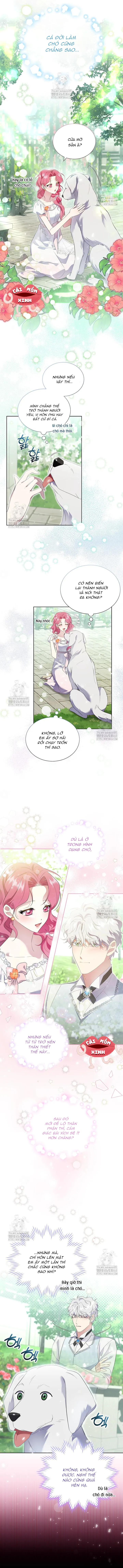 Khi Bị Nam Chính Dịu Dàng Nhưng Cố Chấp Ám Ảnh Chap 14 - trang 3