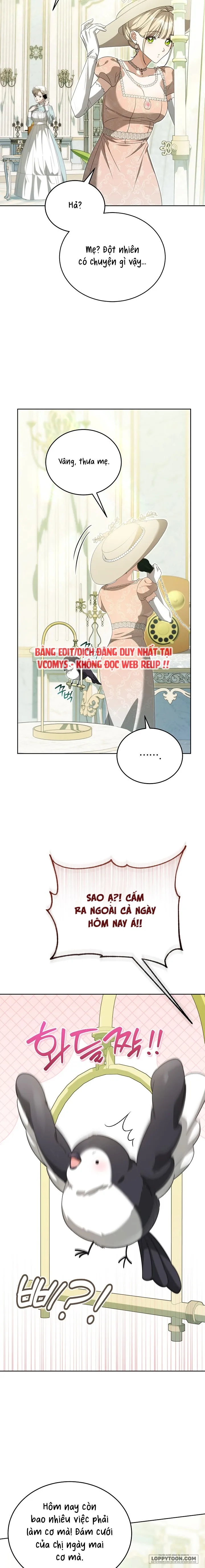 Đại Công Tước Chó Má Của Tôi Chap 11 - 🔞🔞🔞 - trang 22