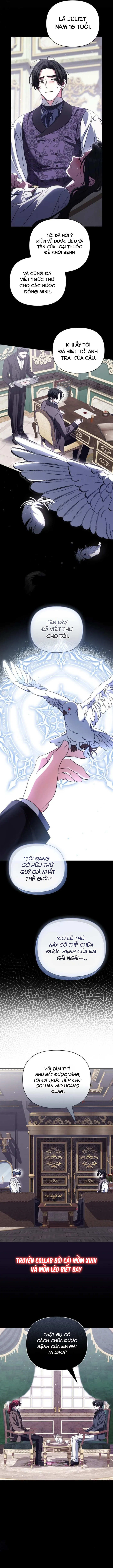 Dành Cho Nàng Juliet Xinh Đẹp Chap 9 - trang 12