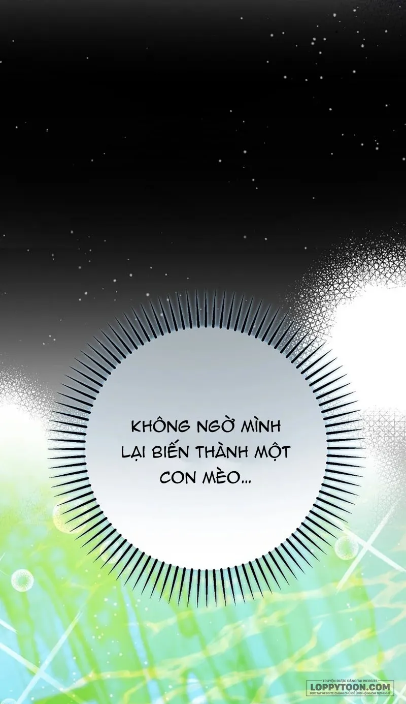 Trở Thành Miêu Nữ Của Hoàng Đế Chap 84 - end ngoại truyện - trang 22