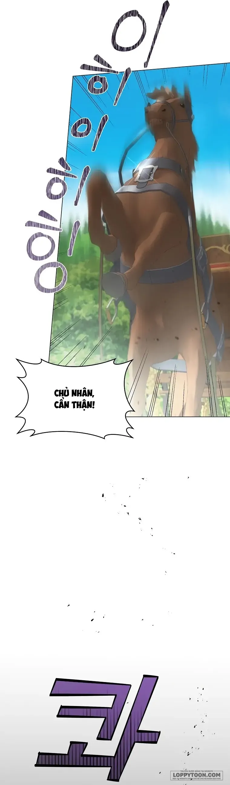 Cuộc Hôn Nhân Xa Hoa Của Đại Công Tước Là Giả Chap 16 - trang 11
