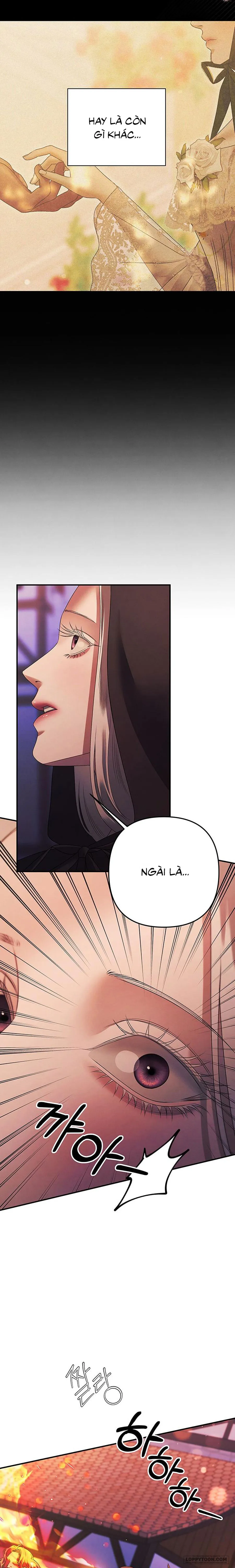 Cuộc Hôn Nhân Bị Cướp Đoạt Chap 15 - trang 11