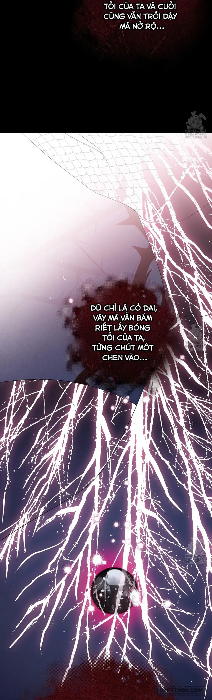 Nàng Tiên, Hãy Ký Hợp Đồng Nào Chap 65 - trang 72