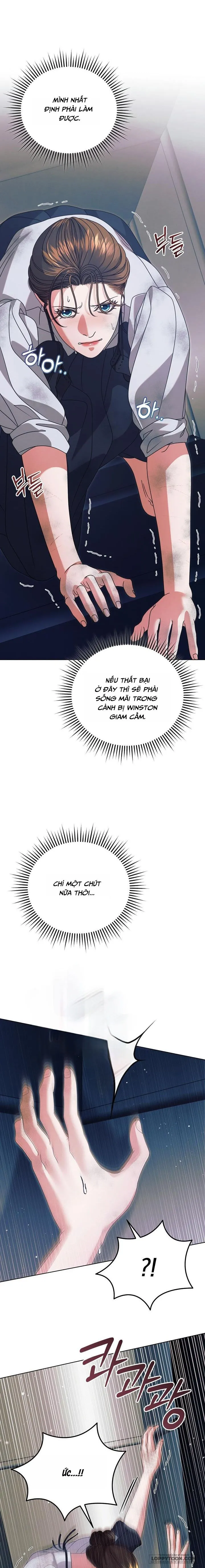 Hãy Cầu Xin Tôi Đi Chap 49 - trang 17