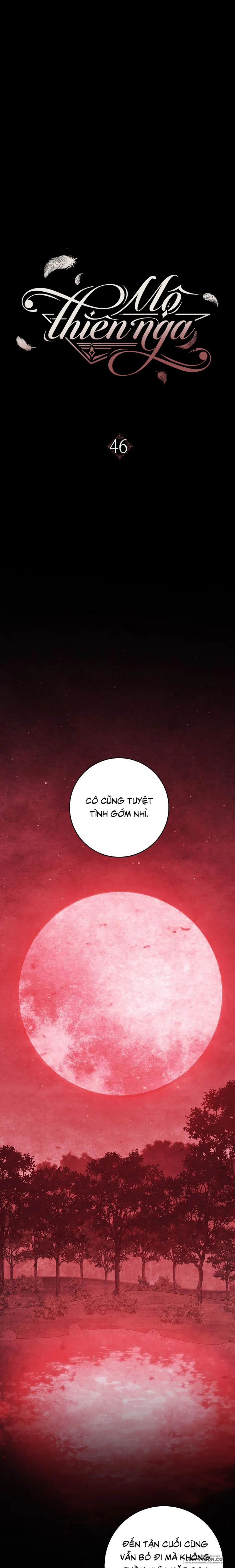 Mộ Thiên Nga Chap 46 - trang 8
