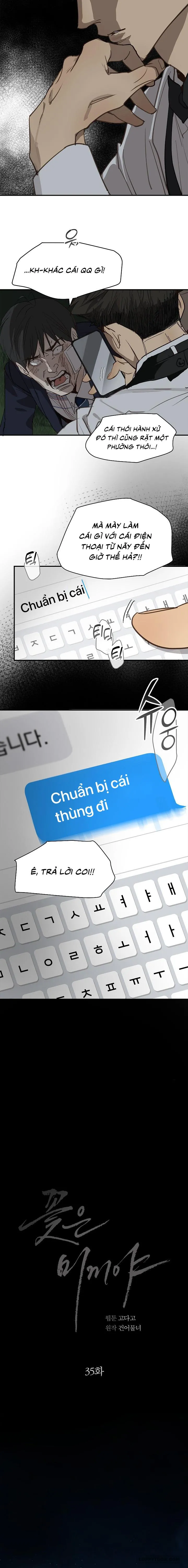 Đóa Hoa Là Mồi Nhử Chap 35 - trang 17