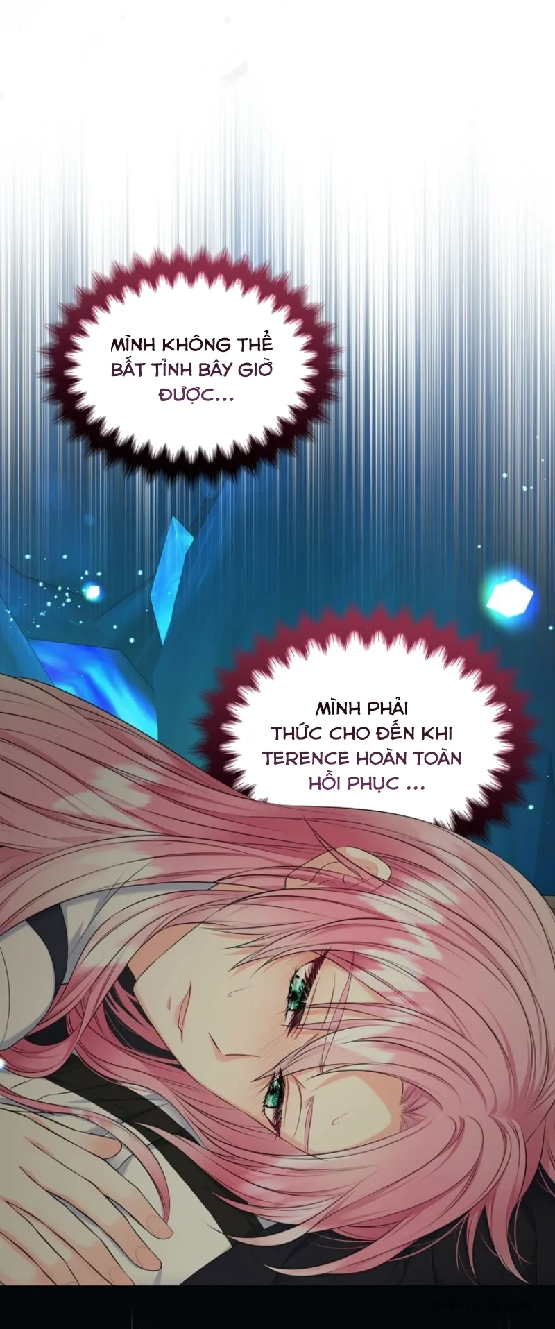 Tôi Sẽ Ly Hôn Với Anh Trai Nữ Chính Chap 77 - trang 24
