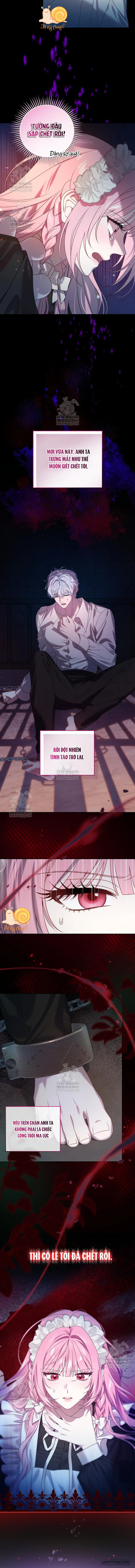 Kẻ Ám Ảnh Cuồng Tín Đang Cố Giam Cầm Tôi Chap 7 - trang 3