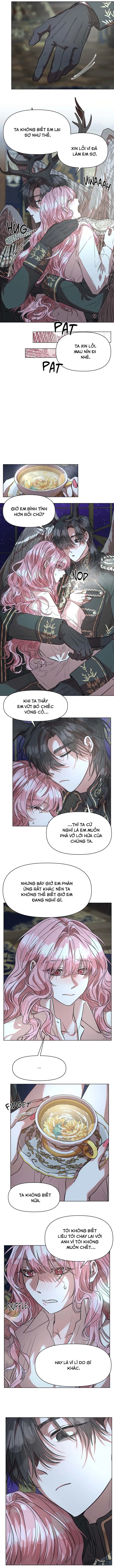 Dịch Vụ Đặc Biệt Chap 7 - trang 5