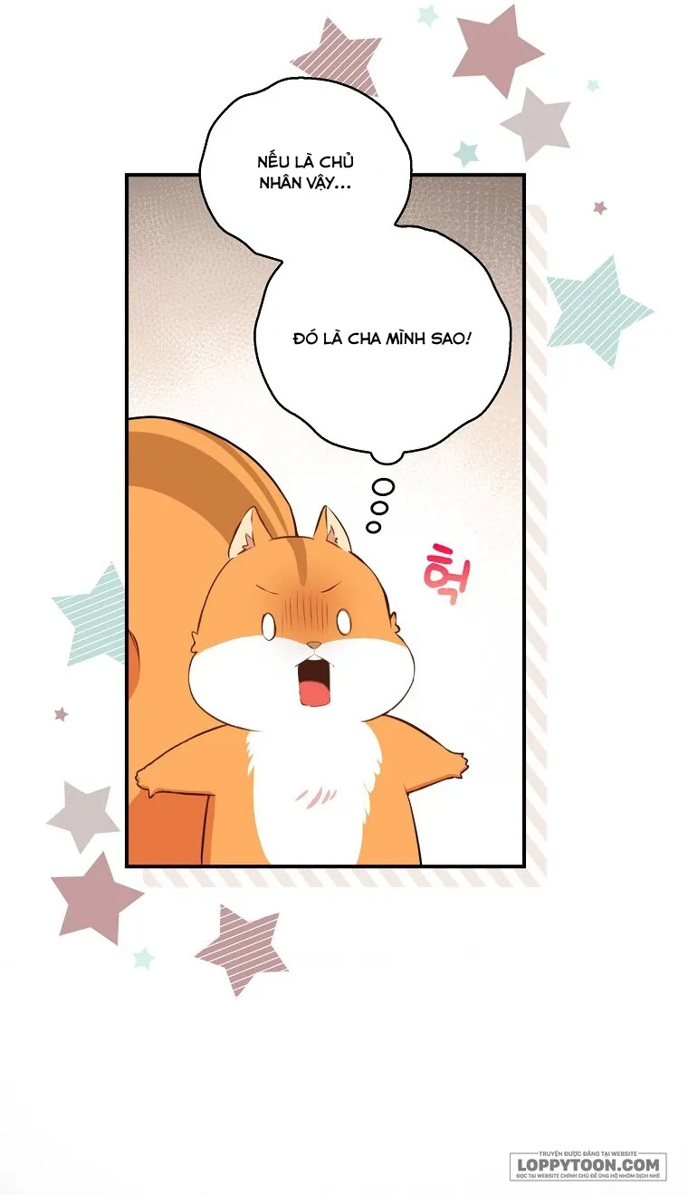 Sóc Con Tài Năng Chap 6 - trang 6