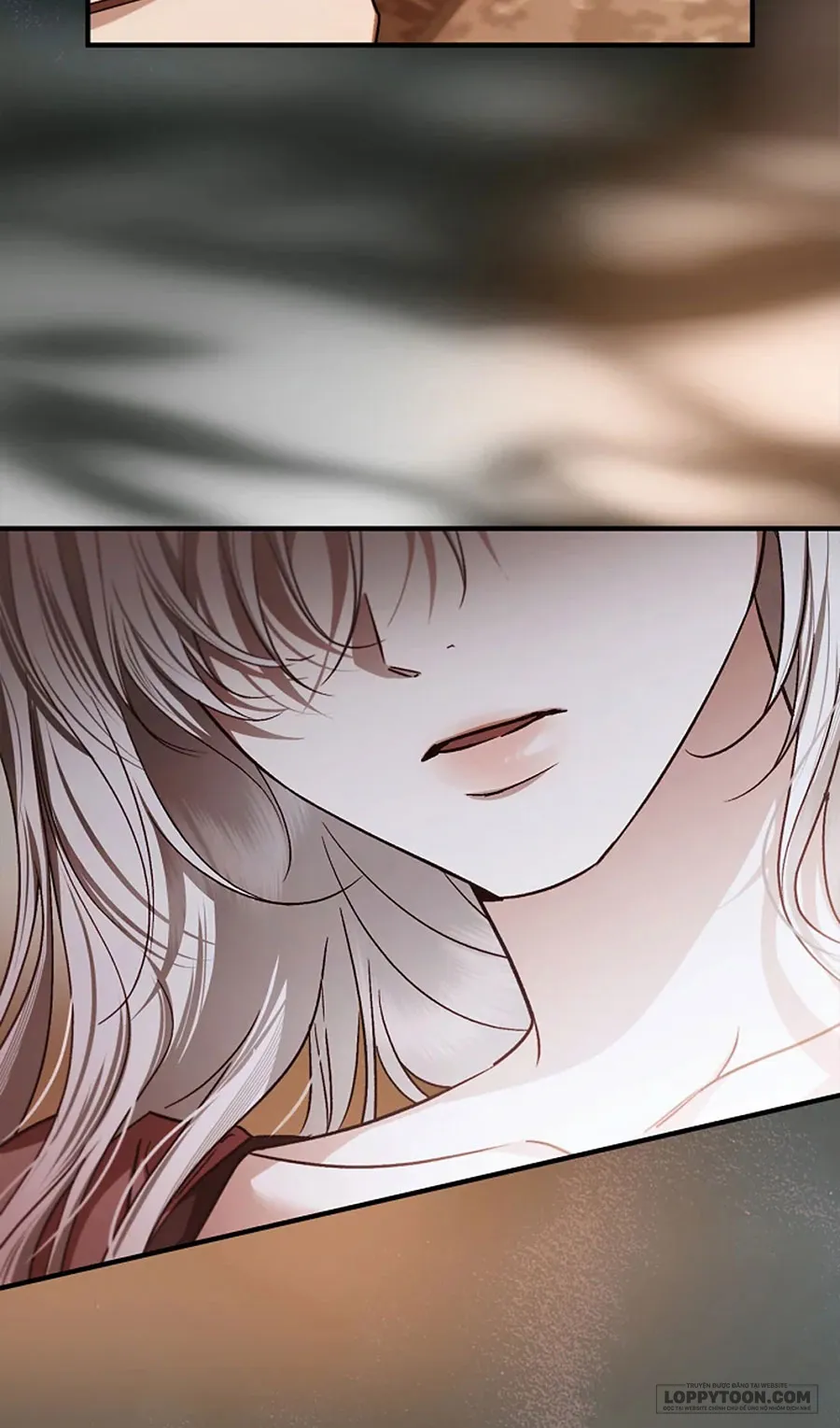 Nhưng Rõ Ràng Chồng Tôi Là Thánh Kỵ Sĩ Mà? Chap 8 - trang 12