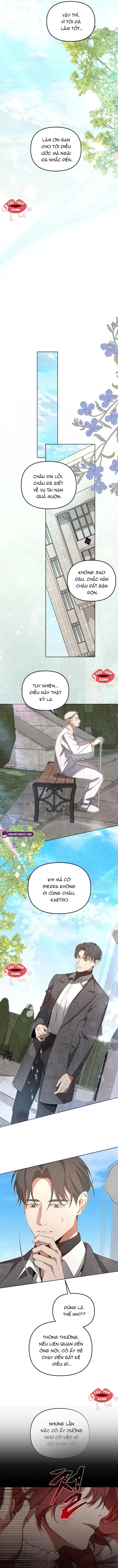 Nơi Đóa Hồng Vàng Úa Tàn Chap 11 - trang 13