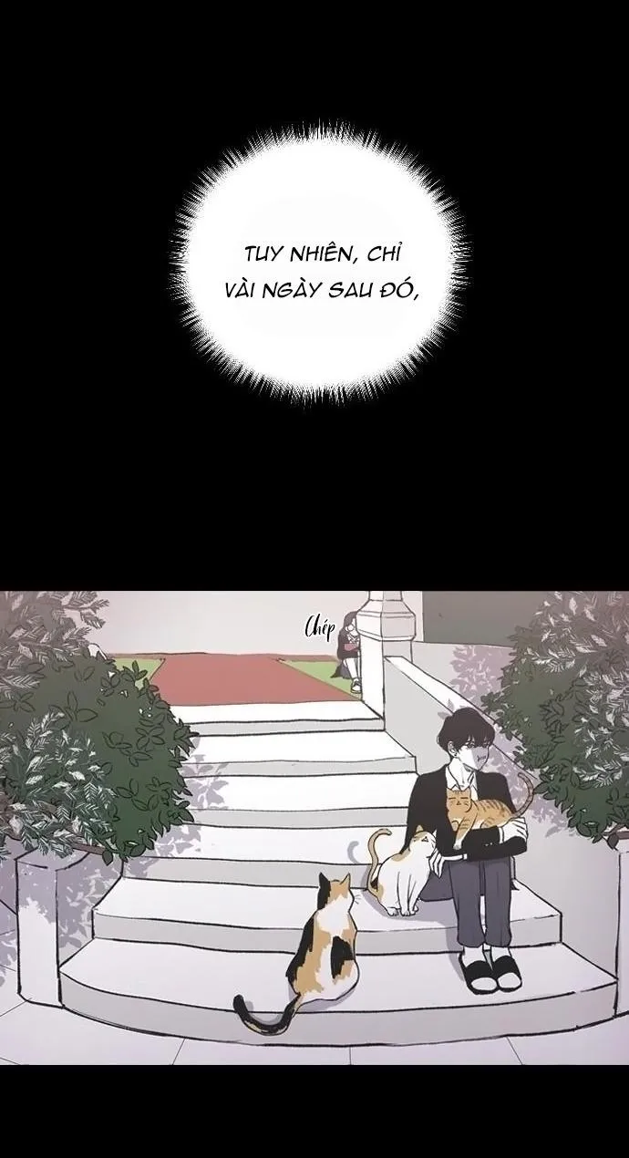 Ba Anh Trai Cực Phẩm Của Tôi Chap 7 - trang 30
