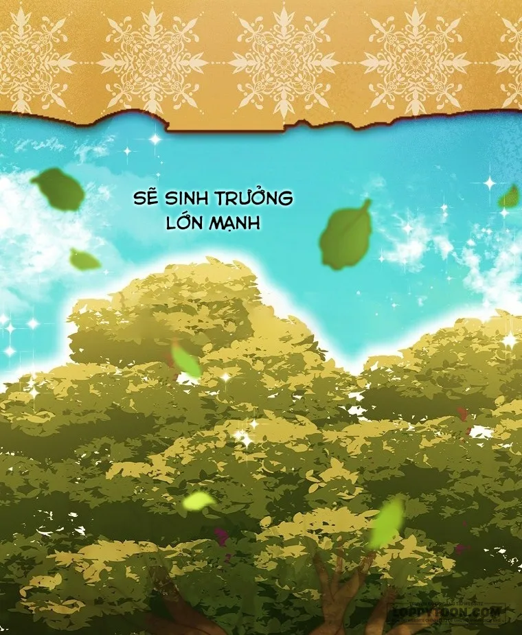 Sóc Con Tài Năng Chap 55 - trang 8