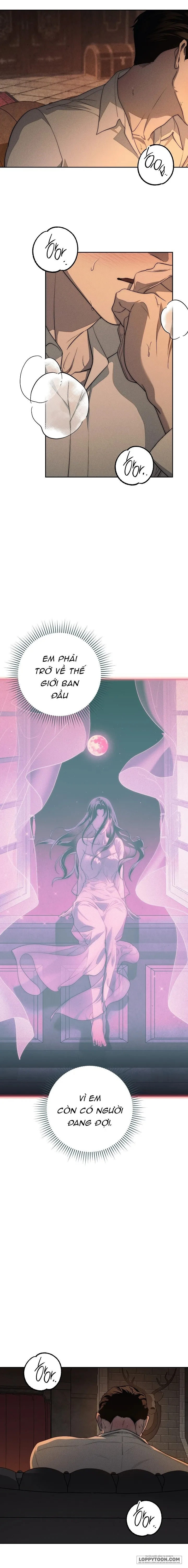 Mộ Thiên Nga Chap 8 - trang 2
