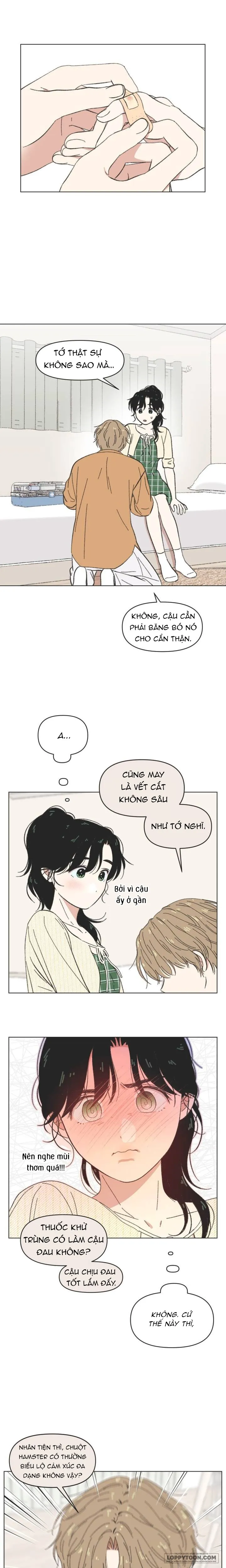 Thanh Xuân Ngọt Ngào Chap 61 - trang 7