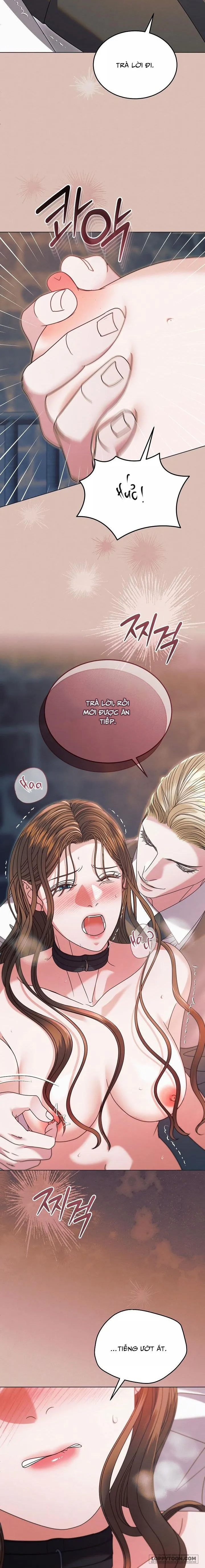 Hãy Cầu Xin Tôi Đi Chap 54 - 🔞🔞🔞 - trang 13