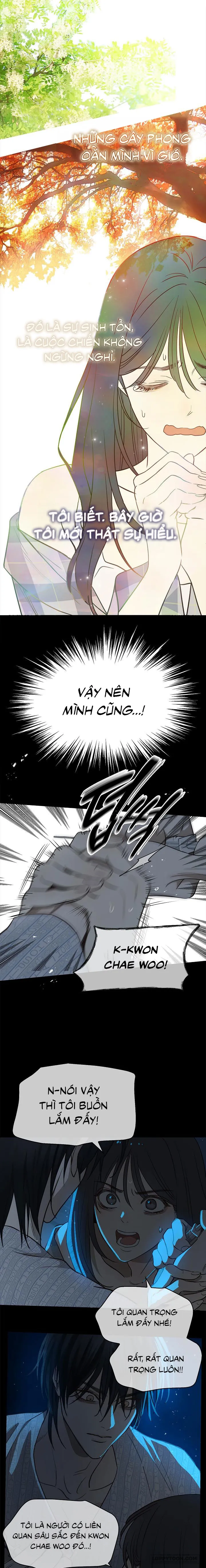 Đóa Hoa Là Mồi Nhử Chap 4 - trang 2