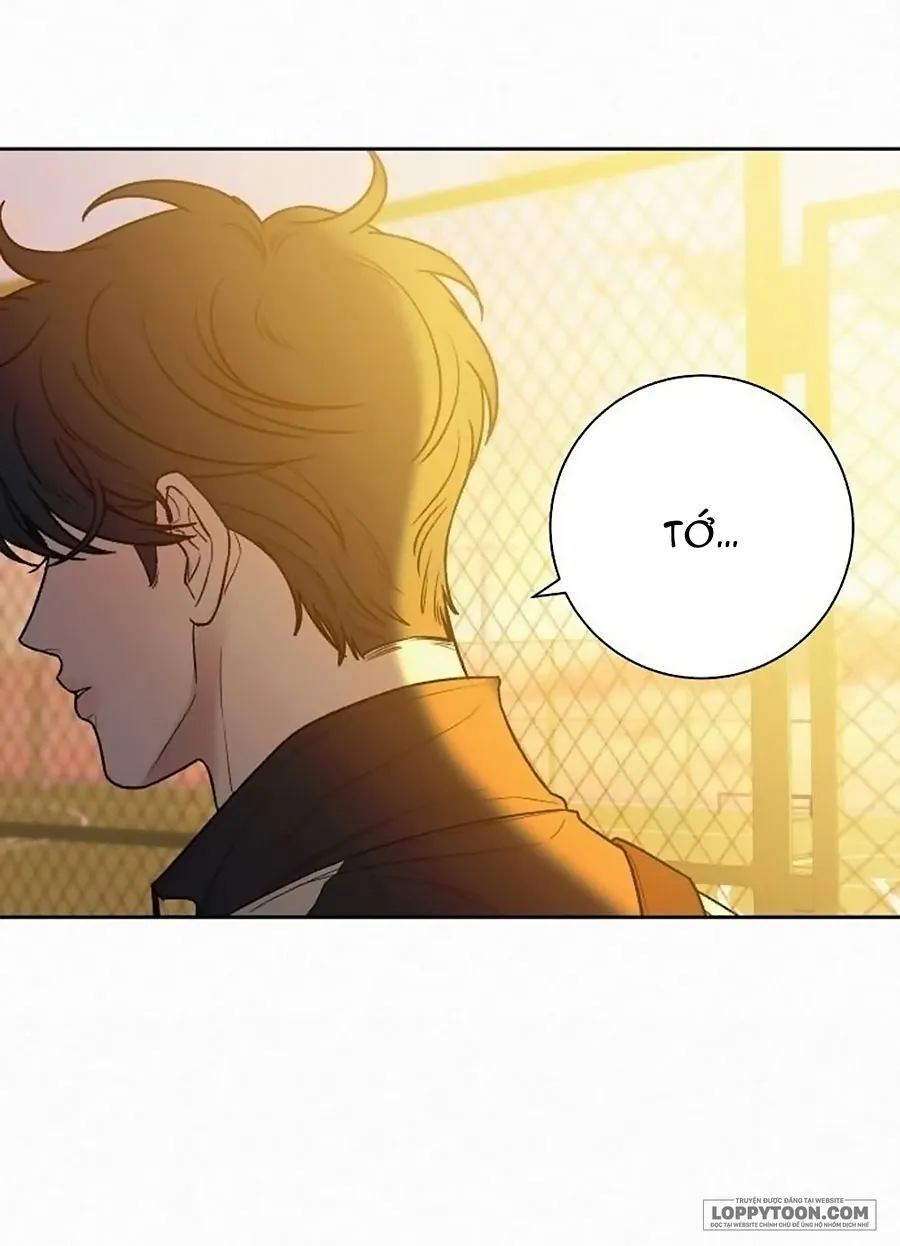 Chiến Lược Tình Yêu Trong Sáng Chap 99 - trang 56