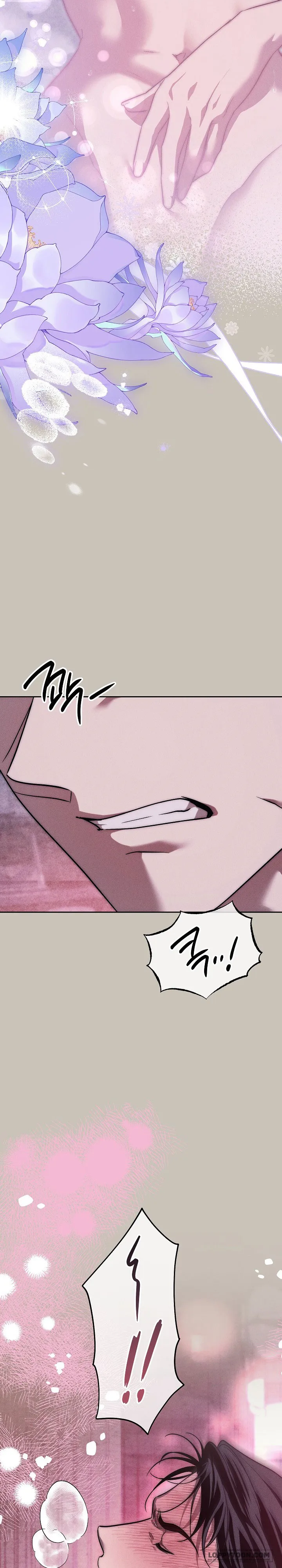 Mộ Thiên Nga Chap 43 - 🔞🔞🔞 - trang 11